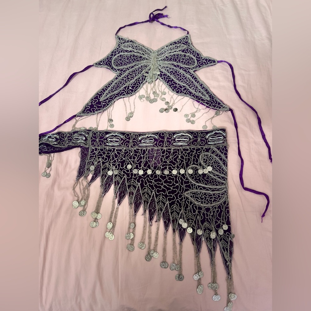 Purple and Silver Embroidered Butterfly Top and Skirt Set